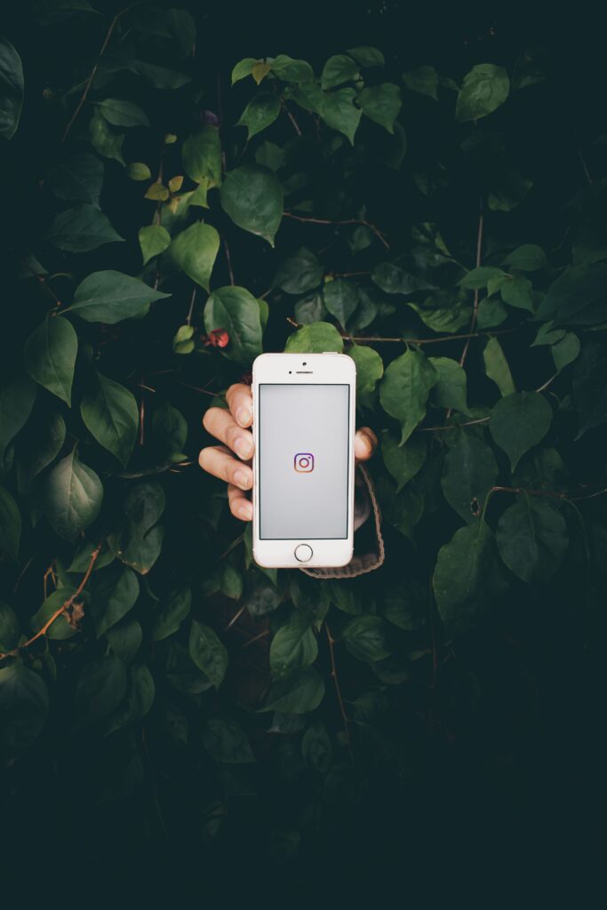 A hand holding a smartphone displaying the Instagram icon amid lush green leaves.